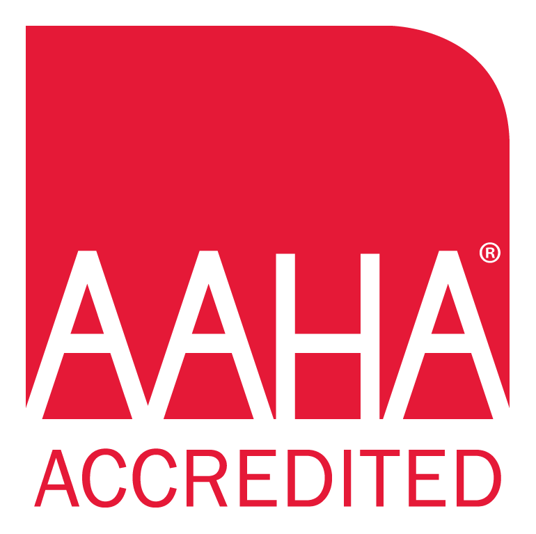 AAHA-Logo-Accredited